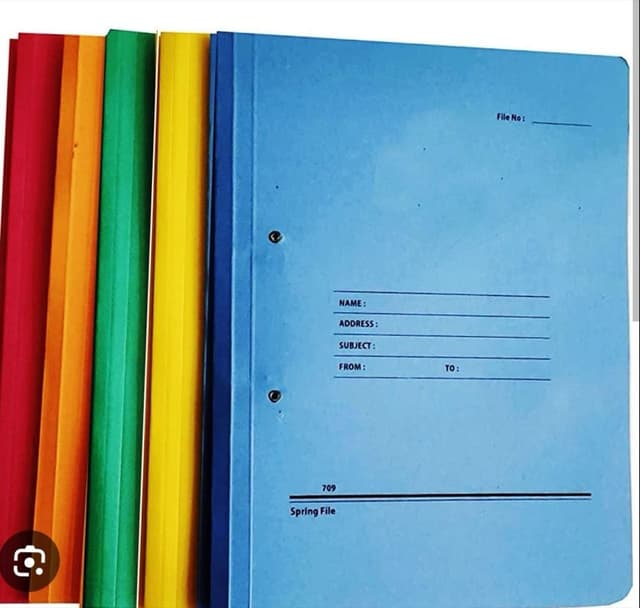 Cobra Spring File Soft Type Multicoloured 12 Pcs Set